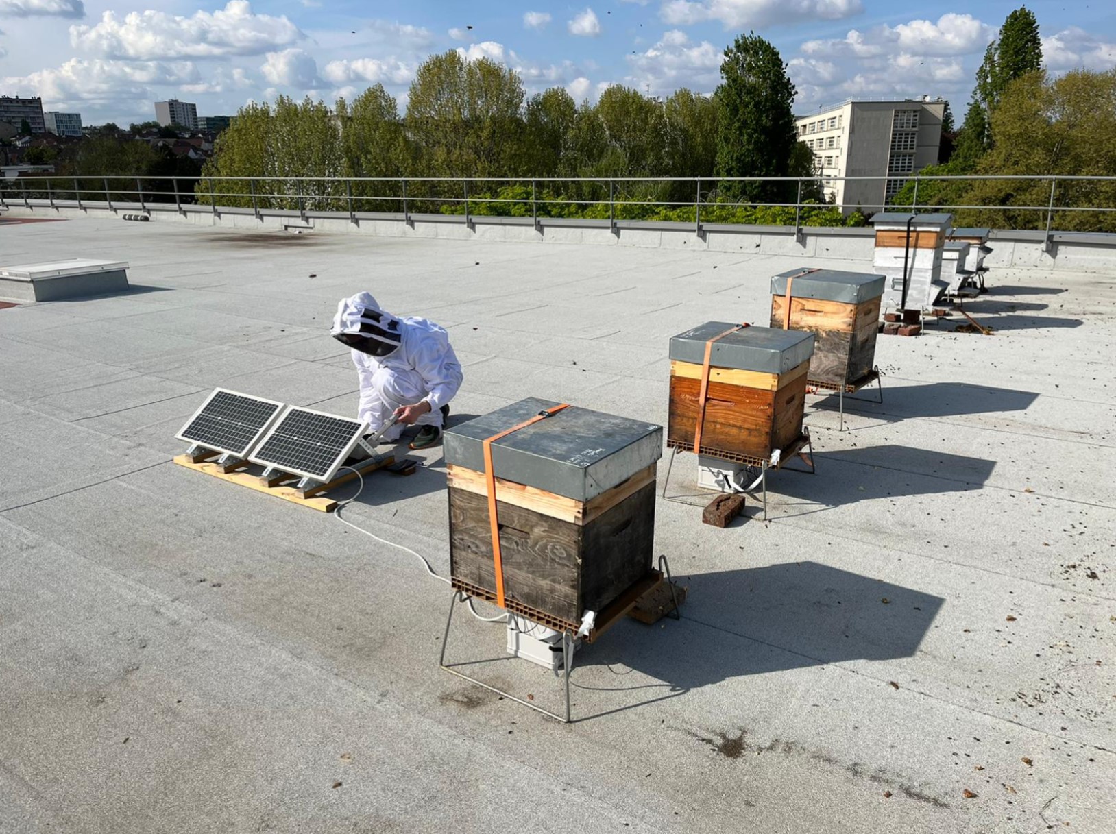 Deployment of smart beehives